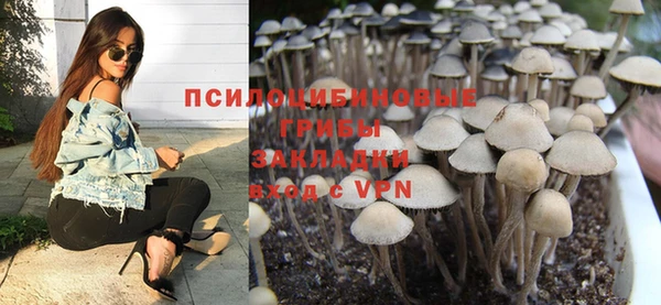 mdpv Алзамай