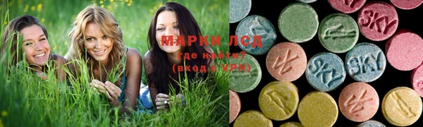 стаф Абаза