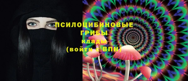 прущие крисы Абинск