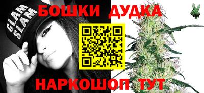 apvp Усть-Илимск
