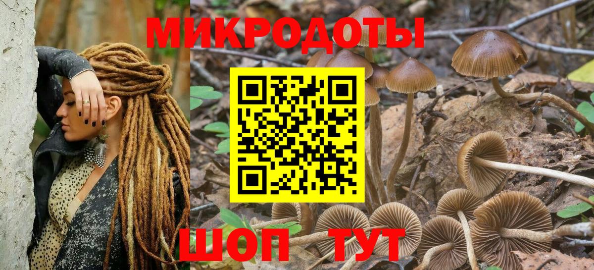 Галлюциногенные грибы мицелий Октябрьский